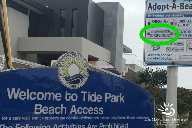 Tide Park Beach Access Board